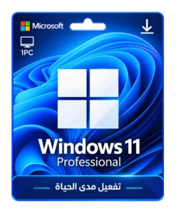 Windows 11 Pro