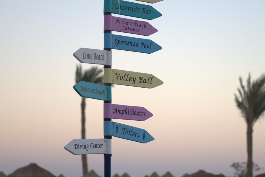 Professional Development Paths