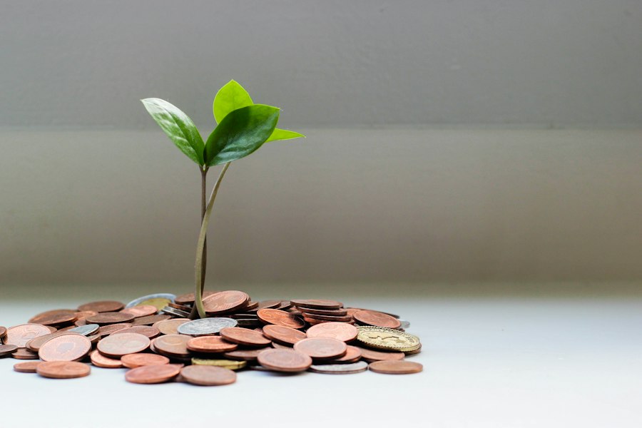 Photo smart saving vs harmful stinginess career