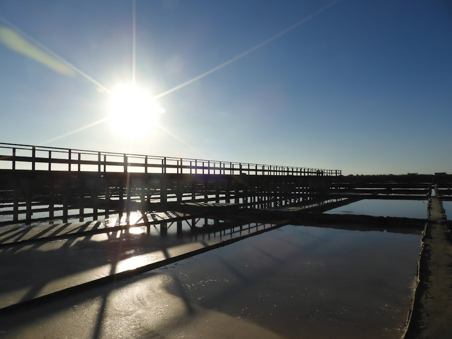 Photo AI water desalination fresh resource management