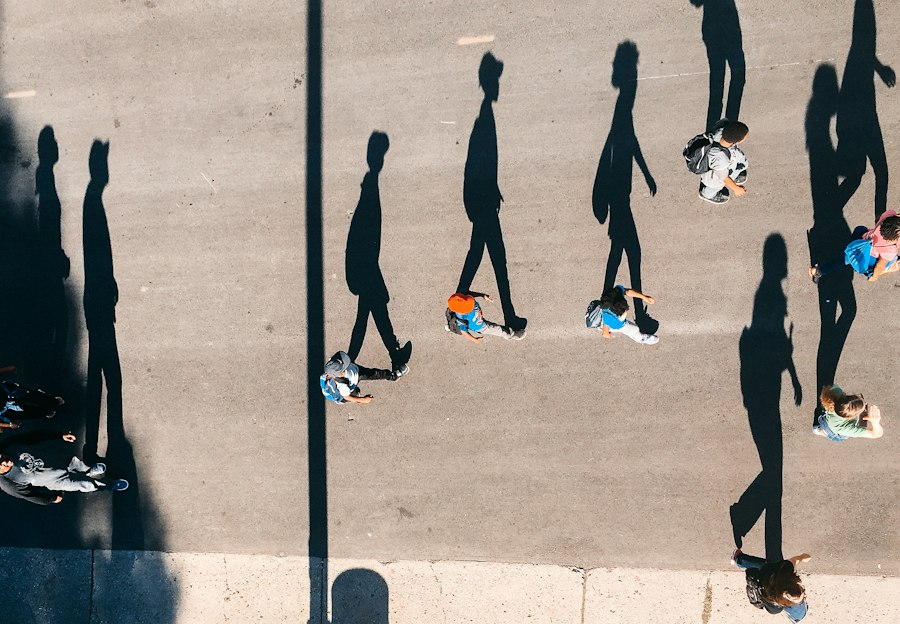 human consumption patterns behavioral economics study