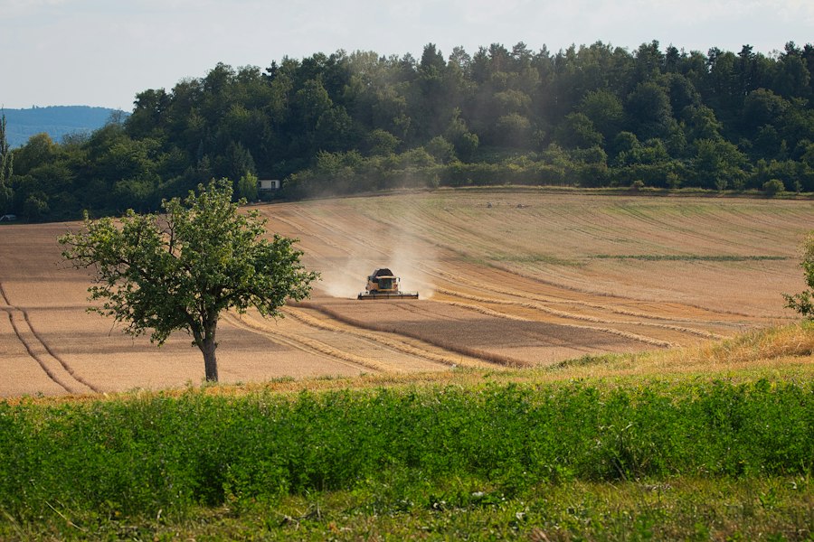 Photo Smart agriculture AgTech