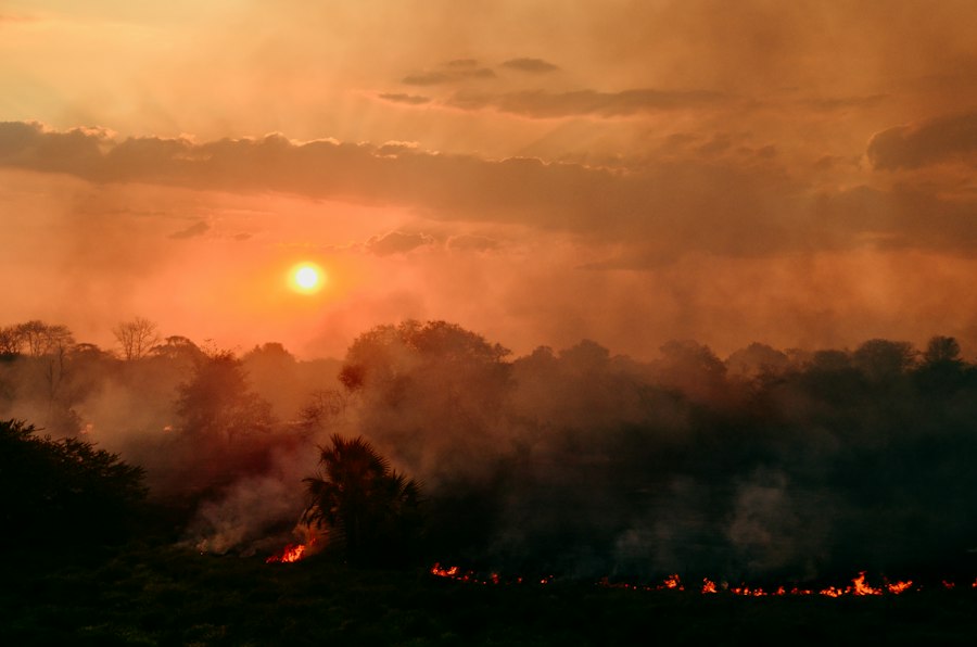 Photo forest fire monitoring satellite computer vision