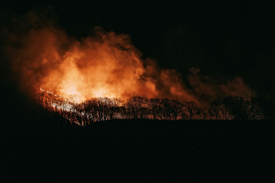 forest fire monitoring satellite computer vision