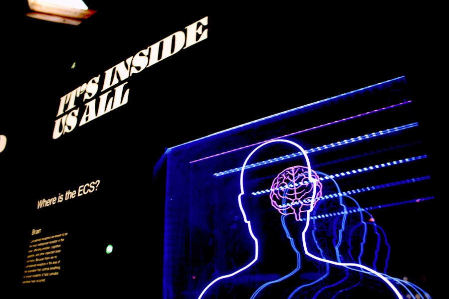 Photo human-machine integration future consciousness