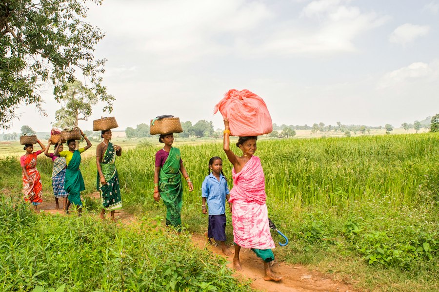 global crop yield prediction food security famine prevention