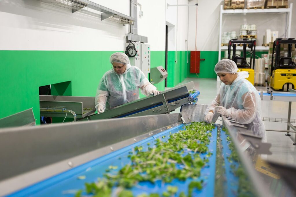 Photo fresh food supply chain optimization