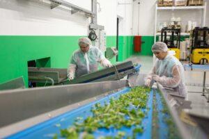 Photo fresh food supply chain optimization