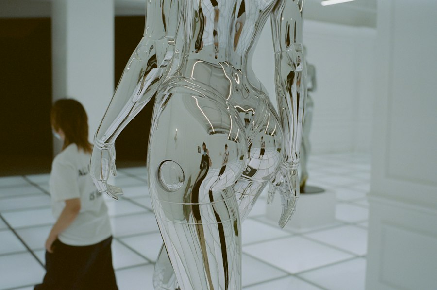 Photo algorithmic art criticism human beauty evaluation