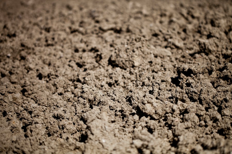 soil composition analysis algorithm nutrient description
