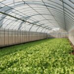 Photo fully automated greenhouse farming system