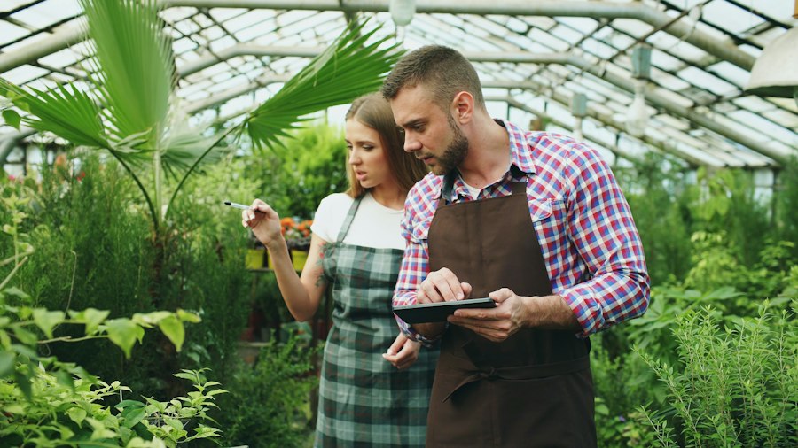 digital garden personal growth ideas documentation