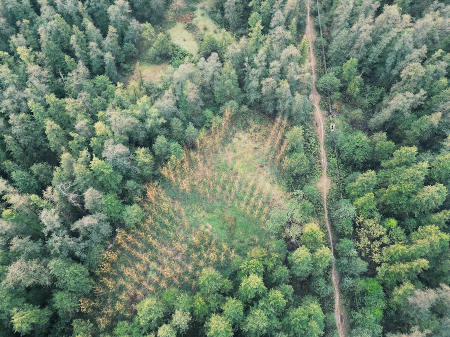 Photo desertification monitoring smart afforestation planning