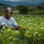 Photo AI crop pricing small farmers protection
