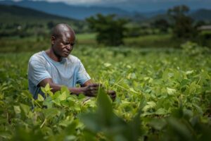 Photo AI crop pricing small farmers protection