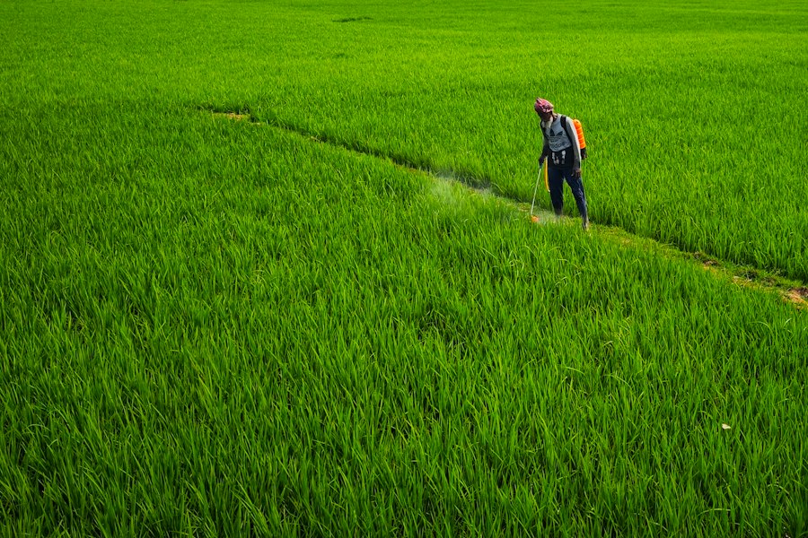 smart targeted pesticide spraying reduction