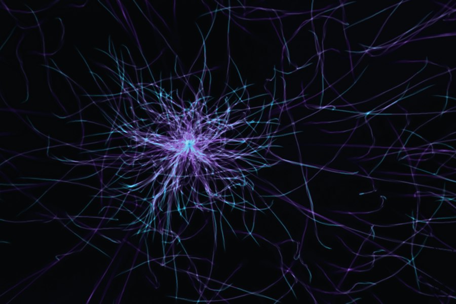 quantum mechanics deep neural networks simulation